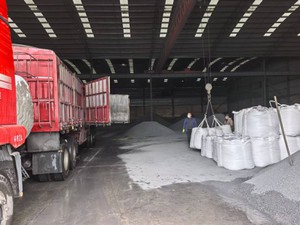 2026030217355310002 2026030217355310002